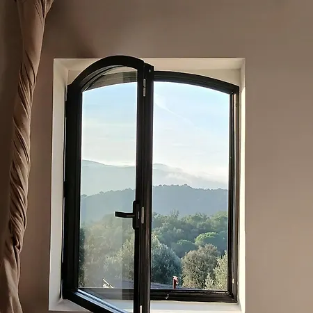 Mimosa