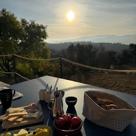 Mimosa Panzió 4*